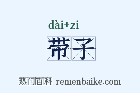 带子是什么意思的图片